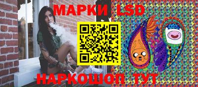 шишки Брянск