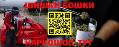шишки Брянск